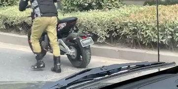 春风新款爆料视频大全,抢先揭秘全新车型风采